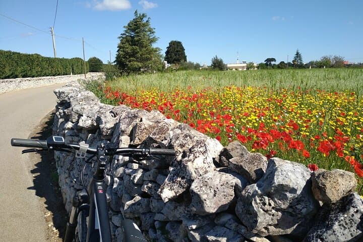 E‑bike Valle d'Itria Trulli & Wine Tour from Martina Franca photo 3