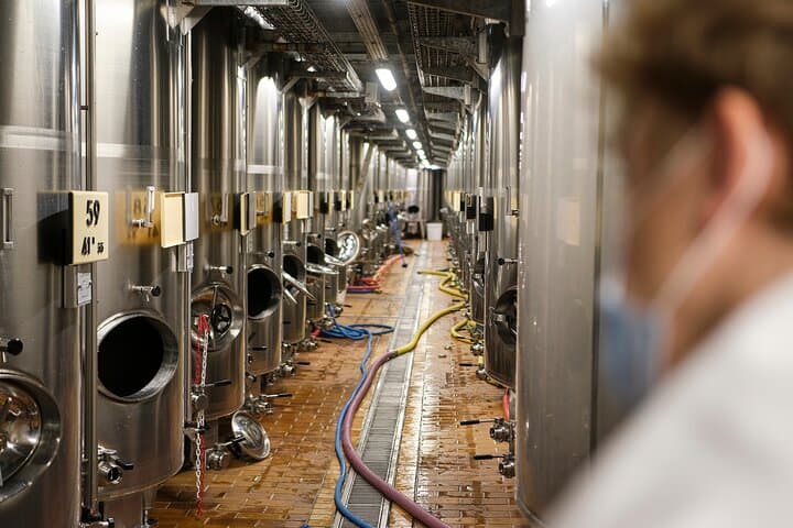 Veuve Clicquot Tasting and Private Champagne Tour from Reims photo 5