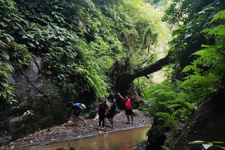 Taal Volcano & Hidden Waterfall Dual Adventure — Boat Cruise and Rainforest Hike photo 6