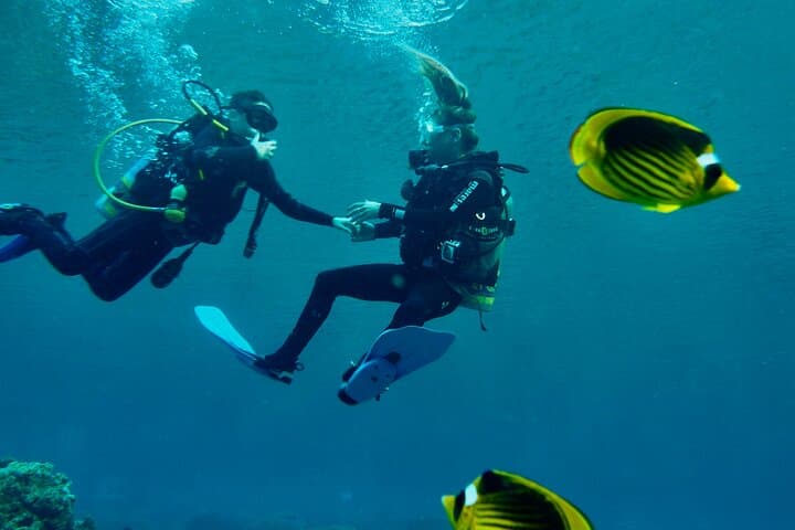 Discover Scuba Diving in Eilat: Private Introductory Dives on the Red Sea photo 3
