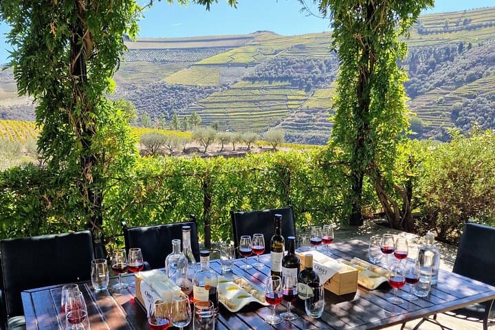Douro Valley Premium: Boat Cruise, Lunch & Two Winery Tastings photo 2