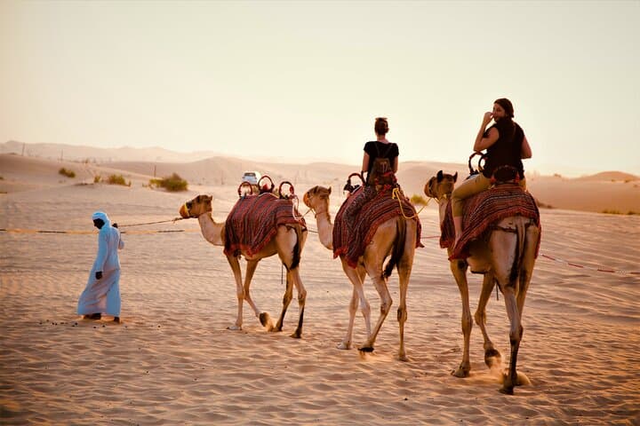 Camel Trekking in Abu Dhabi Desert: 30-Minute Camel Ride & Cultural Experience photo 4