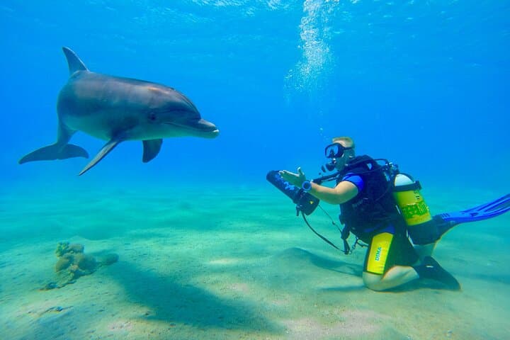 Private Scuba Diving in Eilat: Red Sea Guided Dives & Wreck Exploration photo 5