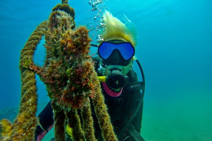 Private Scuba Diving in Eilat: Red Sea Guided Dives & Wreck Exploration photo 6