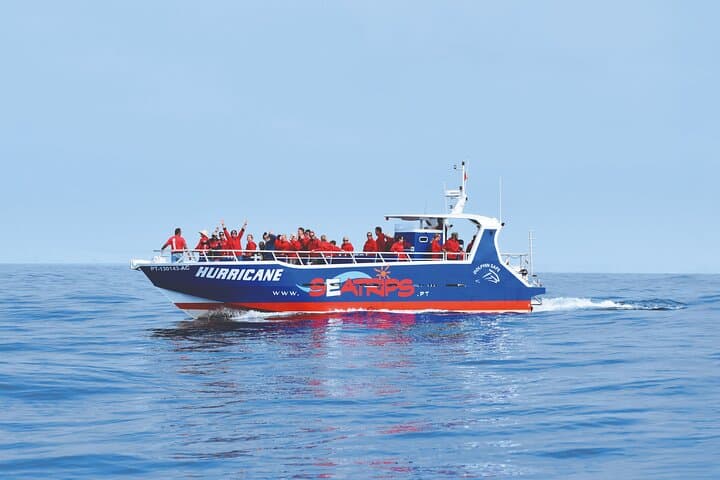 Benagil Cave & Dolphin Watch from Marina de Lagos — Guided Trip with Marine Biologist photo 2