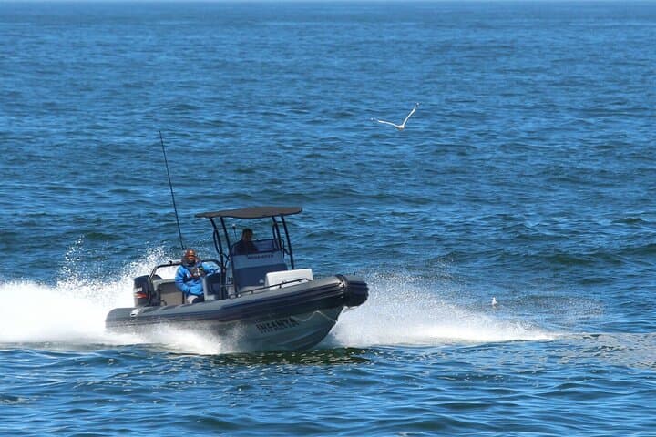 Yzerfontein Whale Watching Expedition: Humpback Supergroups & Marine Life photo 2