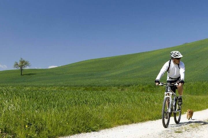 E-Bike Chianti Countryside Tour with Lunch & Wine Tasting photo 6