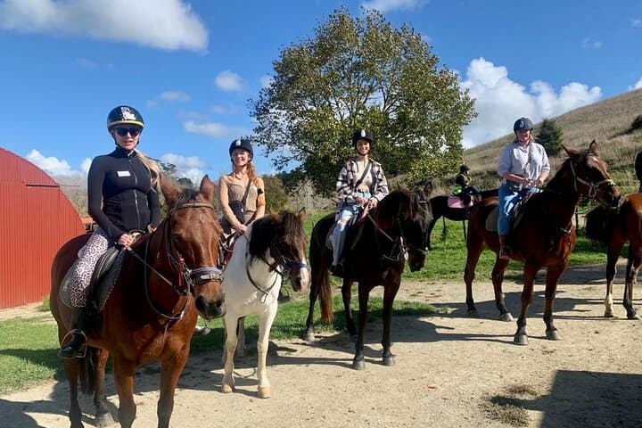 Brick Bay Private Tour: Horse Riding, Wine Tasting & Sculpture Trail near Auckland