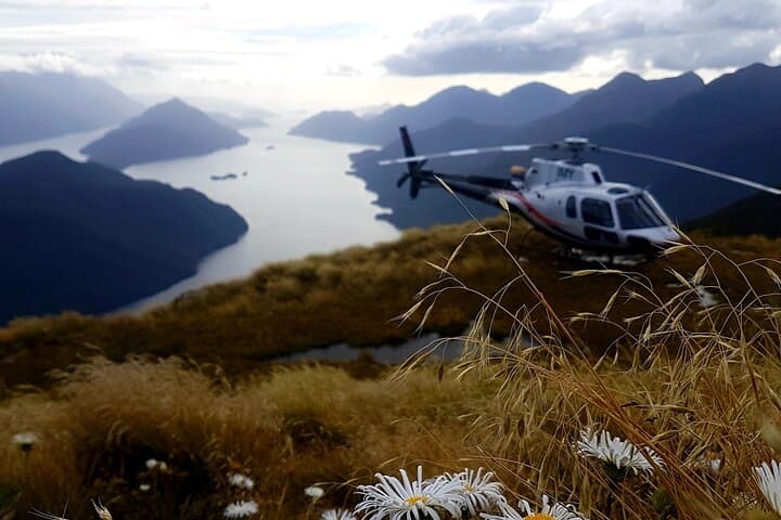 Dusky Sound Helicopter Scenic Flight: Tamatea's Remote Landings from Te Anau photo 2