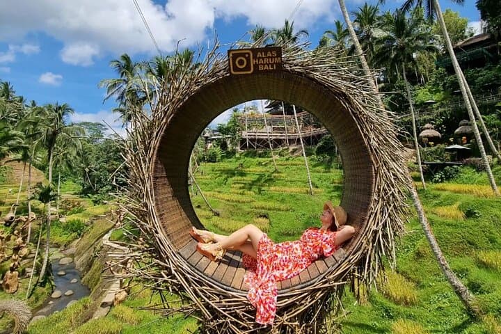 Custom Bali Day Trip with Private Driver — Tailored Itineraries from Ubud photo 2