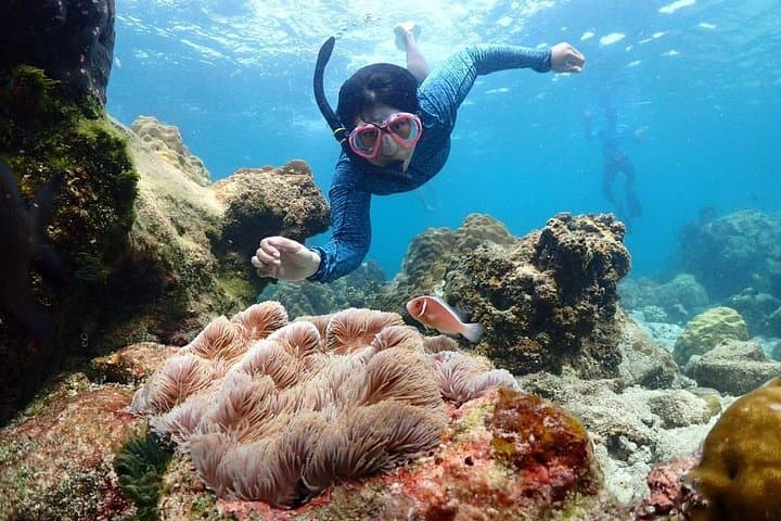 Samae San Bay Full-Day Snorkeling Trip from Bangkok - Speedboat to Three Reefs