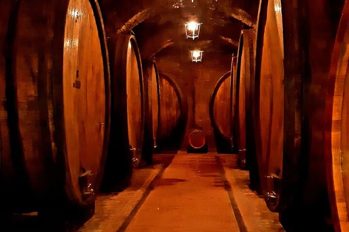 Private Transfer from Assisi to Florence with Stops in Cortona & Montepulciano — Wine Tasting & Hilltowns photo 5