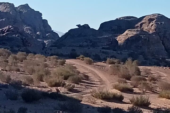 Petra Back-Road Trail: Full-Day Hike from Little Petra to the Monastery