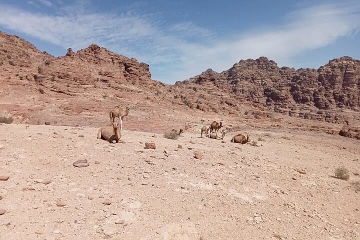 Petra Back-Road Trail: Full-Day Hike from Little Petra to the Monastery photo 5