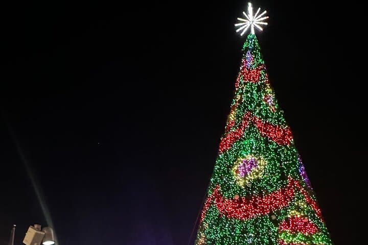 Washington DC Holiday Lights Private Night Bus Tour — Trees, Monuments & Stops photo 6