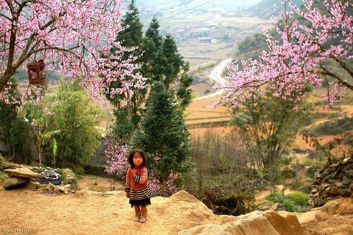 Full-Day Sapa Downhill Biking Tour: Ma Tra, Ta Phin & Takko Pass photo 6