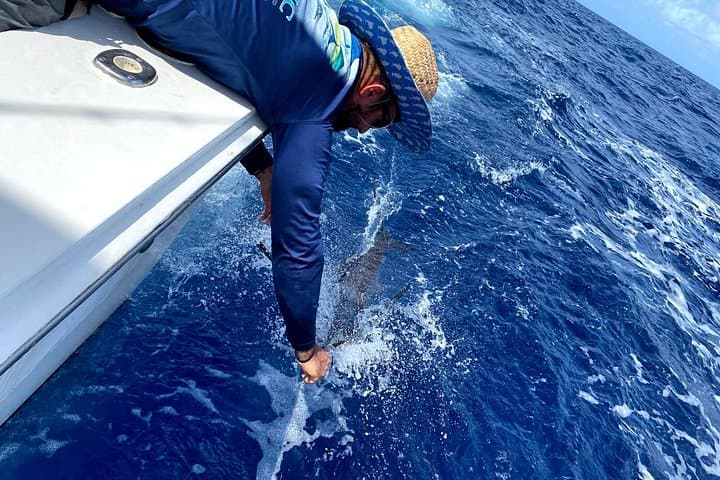 Bonaire Deep-Sea Fishing Charter — 6-Hour Offshore Adventure with Captain Boe photo 1