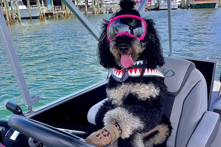 Private Pontoon Charter to Crab Island in Destin — Luxury 6‑Guest Experience photo 4