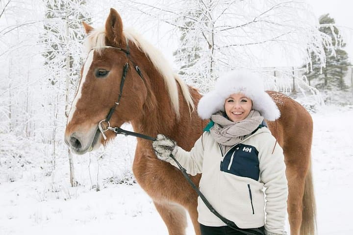 Private Finnhorse Sleigh Ride in Rovaniemi's Snowy Forest photo 3