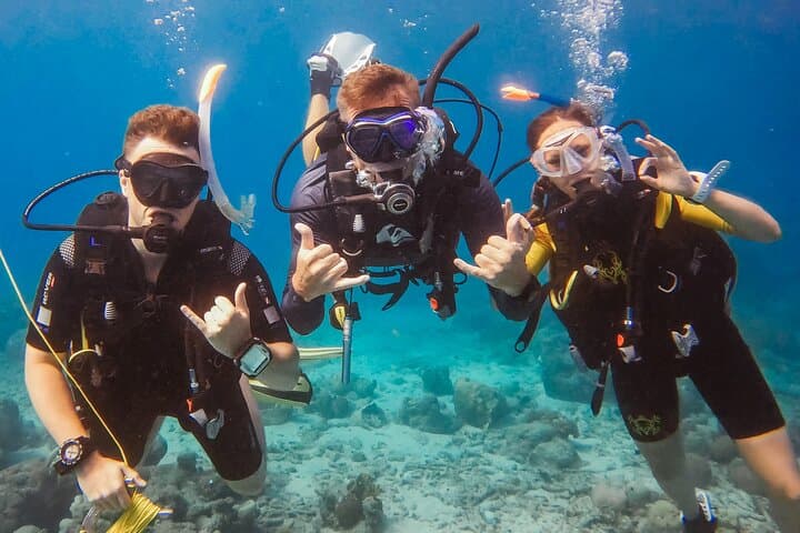 Discover Scuba Diving in Curaçao: Beginner-Friendly Reef Dives with Soul Divers