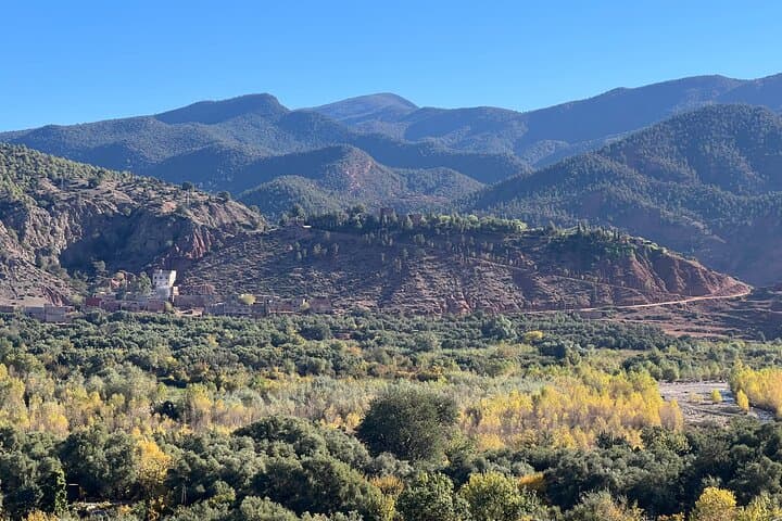 Ourika Valley and Atlas Mountains Day Trip from Casablanca photo 2