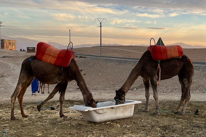 Ourika Valley and Atlas Mountains Day Trip from Casablanca photo 3