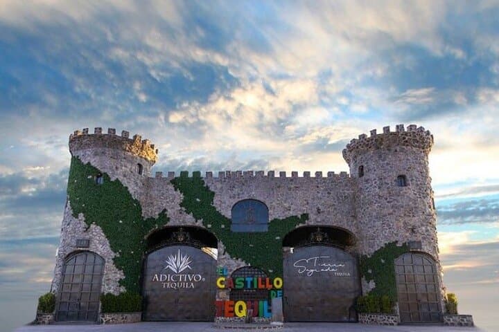 Private Full-Day Tequila Tour to El Castillo: Agave Fields, Tasting & Mirador Swing photo 2