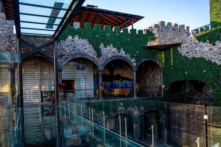 Private Full-Day Tequila Tour to El Castillo: Agave Fields, Tasting & Mirador Swing photo 4