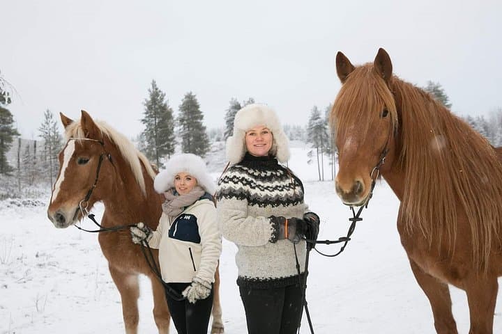 Private Finnhorse Sleigh Ride in Rovaniemi's Snowy Forest photo 2