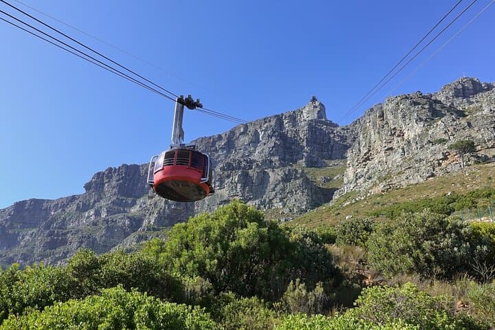 Full-Day Cape Peninsula Private Tour: Table Mountain, Cape Point & Boulders Penguins photo 6