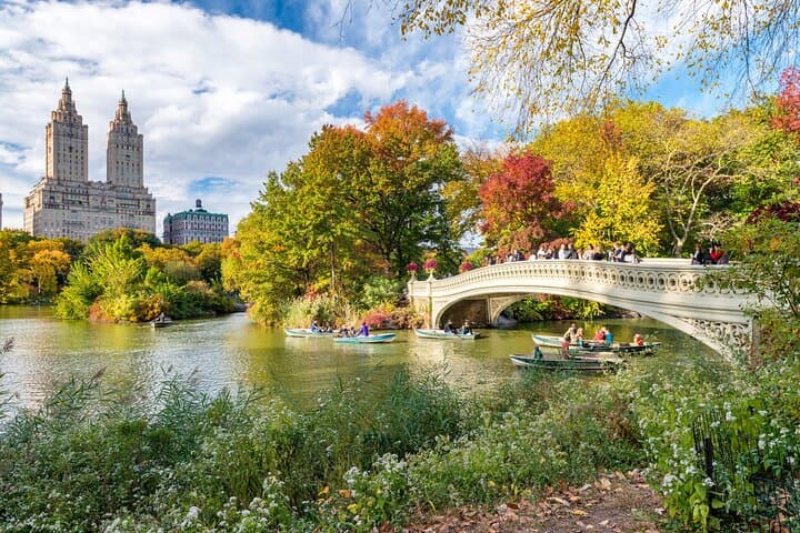 Central Park Private Walking Tour: Guided Stroll with Optional Transfers & Met Visit