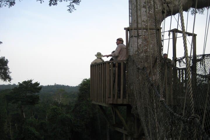 15-Day Ghana Wildlife Private Tour — West Africa Mammal & Bird Expedition photo 6