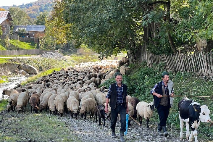 Peles Castle & Valea Doftanei: Authentic Romanian Village Day Trip from Bucharest photo 4
