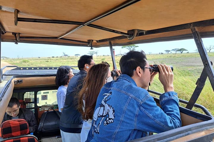 8-Day Great Migration Safari: Serengeti, Ngorongoro & Tarangire (Jul–Oct) photo 3