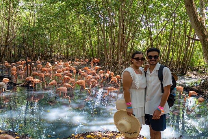 Full-Day Isla Barú Tour: National Aviary & Playa Blanca from Cartagena photo 1