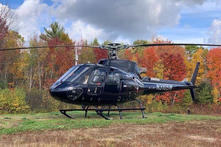 lakeside-helicopter-proposal-from-nyc-to-warwick photo 2