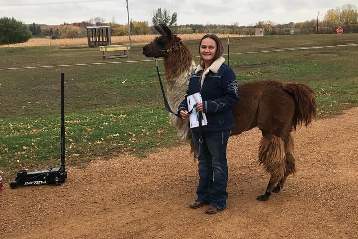Hands-On Llama Encounter Near Bozeman: Family-Friendly Ranch Visit photo 2