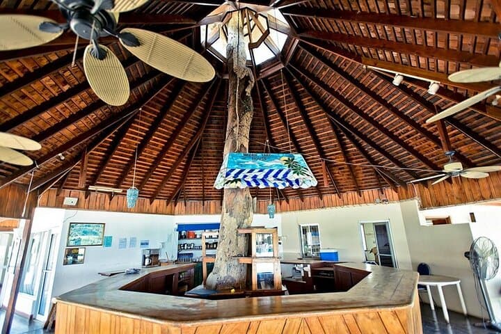 Discover Jamaica's Vibrant Shores on a Private Beach Tour photo 5