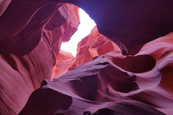 Antelope Canyon, Horseshoe Bend & Lake Powell Day Tour from Las Vegas photo 2