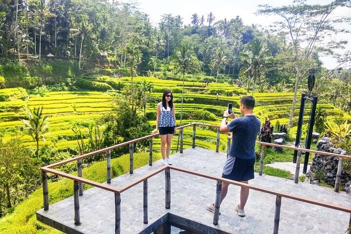Ubud Private Day Tour: Monkey Forest, Tegalalang Rice Terraces & Tirta Empul (With Tickets)