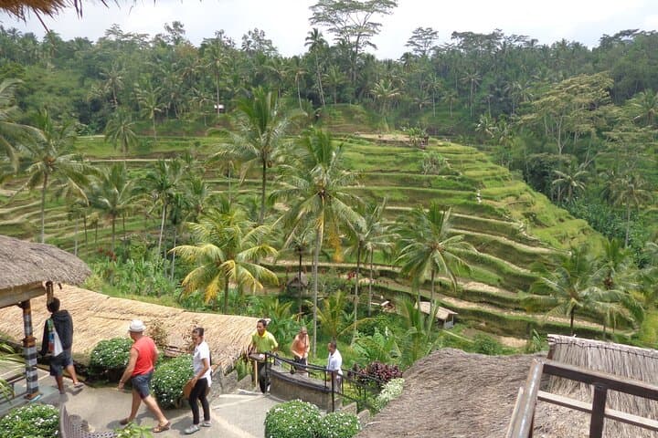 Ubud Private Day Tour: Monkey Forest, Tegalalang Rice Terraces & Tirta Empul (With Tickets) photo 5