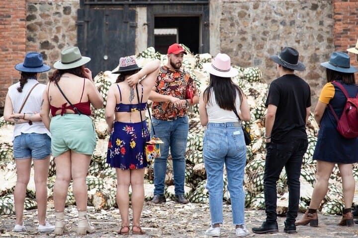 Day Trip to Tequila: Orendain Distillery & Agave Fields Private Tour