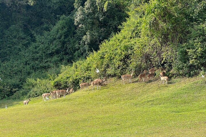 Experience Golf and Heritage in Kathmandu: A Unique 2-Day Adventure photo 6