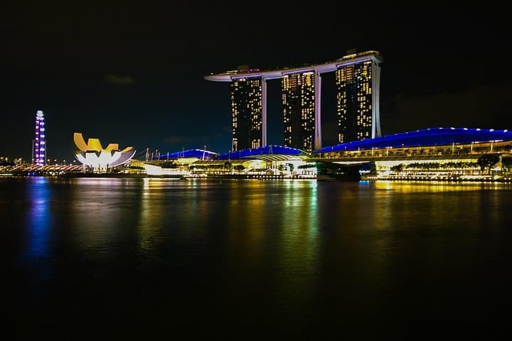 Singapore Night River Cruise & Gardens by the Bay Private Tour photo 2