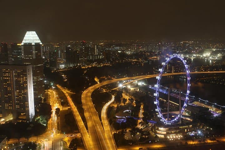 Singapore Night River Cruise & Gardens by the Bay Private Tour photo 4