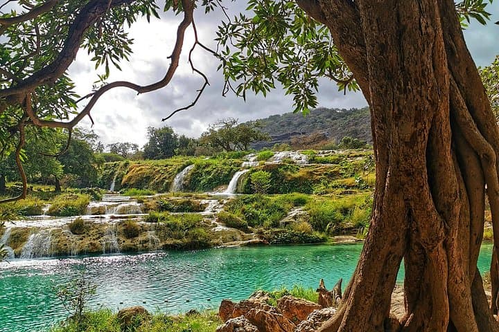 Salalah East & West Day Tour: Taqah, Wadi Darbat, Sumhuram & Mughsail photo 1