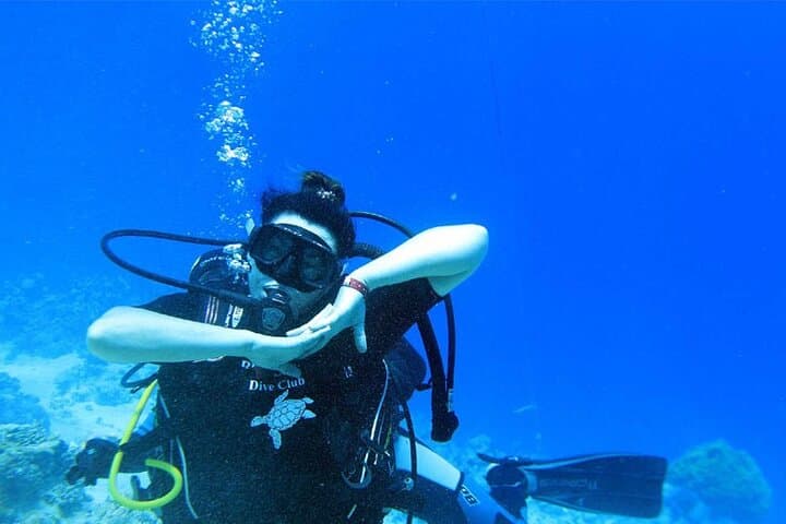 Intro Scuba Diving in Hurghada: Beginner Dives with Pickup and Lunch photo 6
