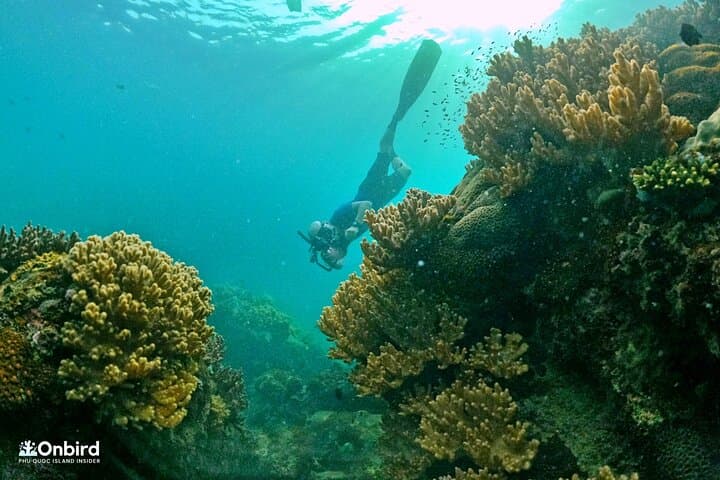 Phu Quoc 4 Islands & 2 Reefs Snorkeling — Small-Group Discovery Tour photo 5