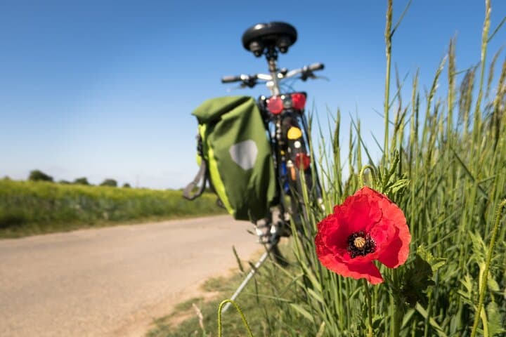 Hoi An Countryside Half-Day Bike Tour: Cam Kim Island & Village Workshops photo 4