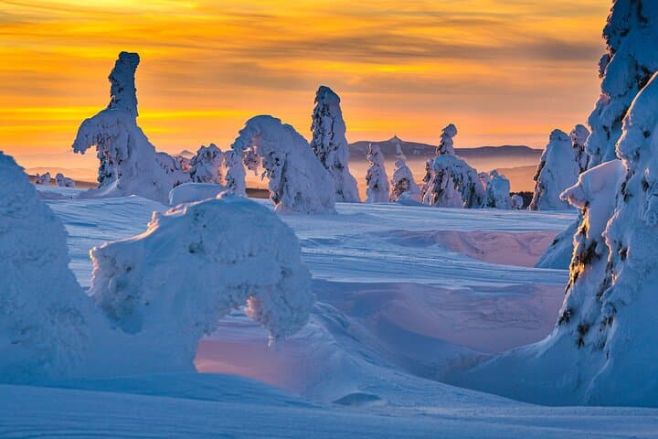 Half-Day Snowshoeing on Ještěd from Prague — Evening Hike & Hilltop Design Restaurant photo 2